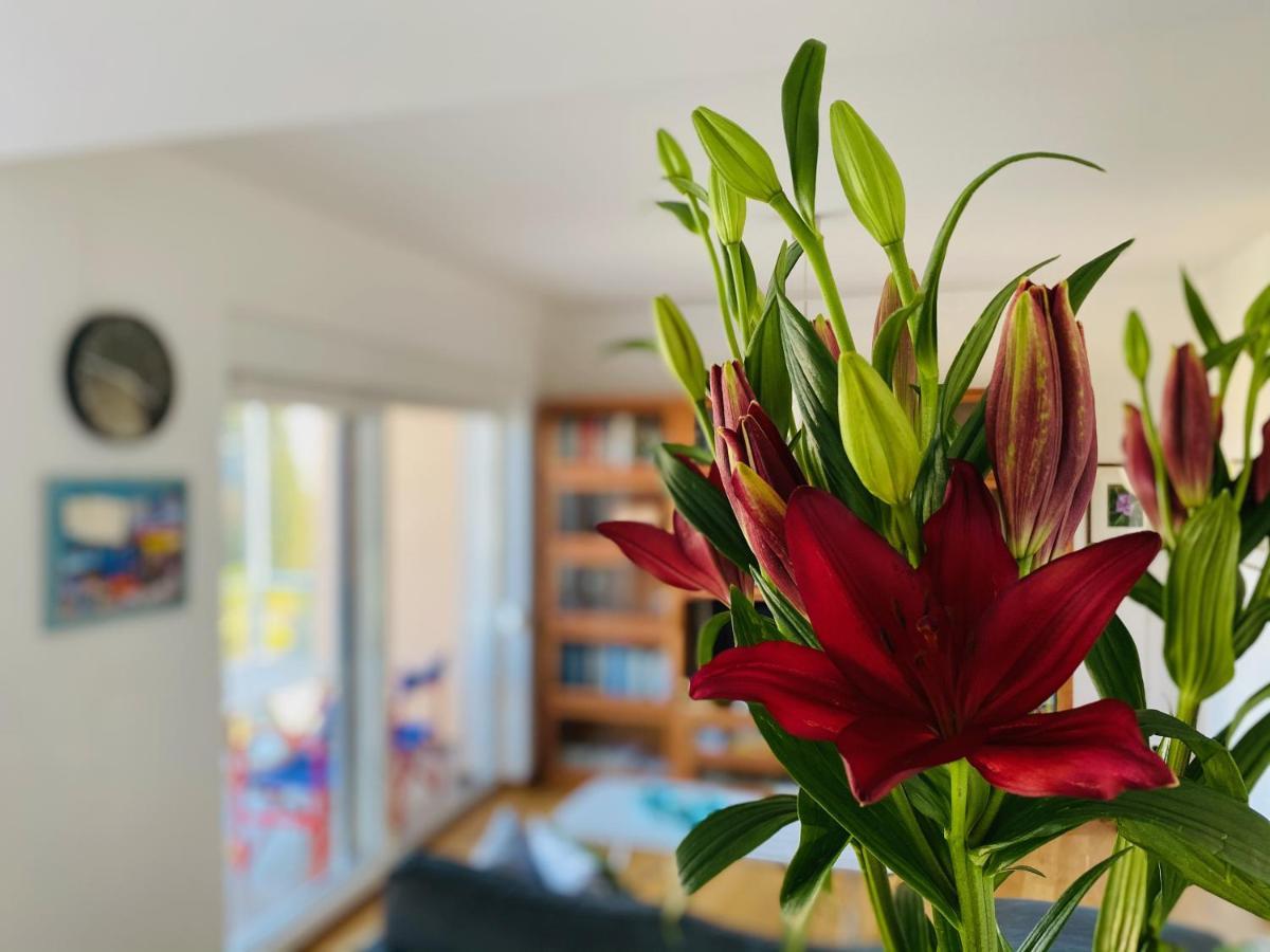Apartment Almare Opatija Zewnętrze zdjęcie